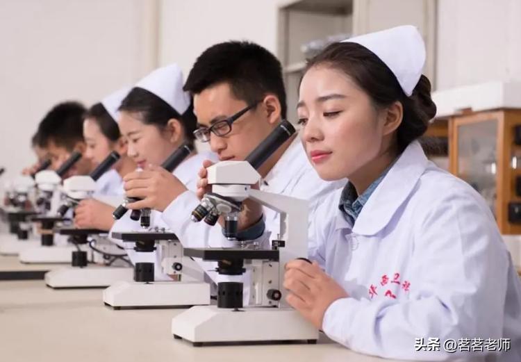 大学基础医学专业介绍及就业前景分析