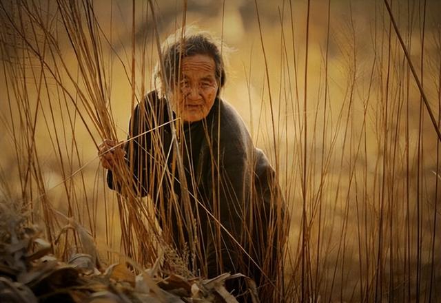 保姆给雇主洗鞋袜,保姆给雇主洗衣服经历