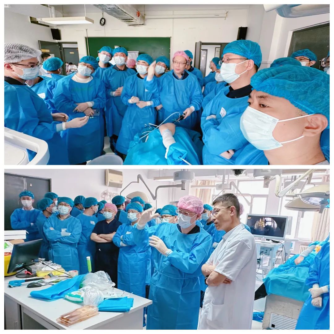 国内颈腰椎资深专家齐聚江城,全国知名专家学者演讲团