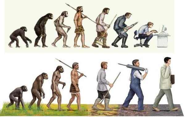 人类全身褪去毛发后，为什么只留下头发、阴毛和腋毛？