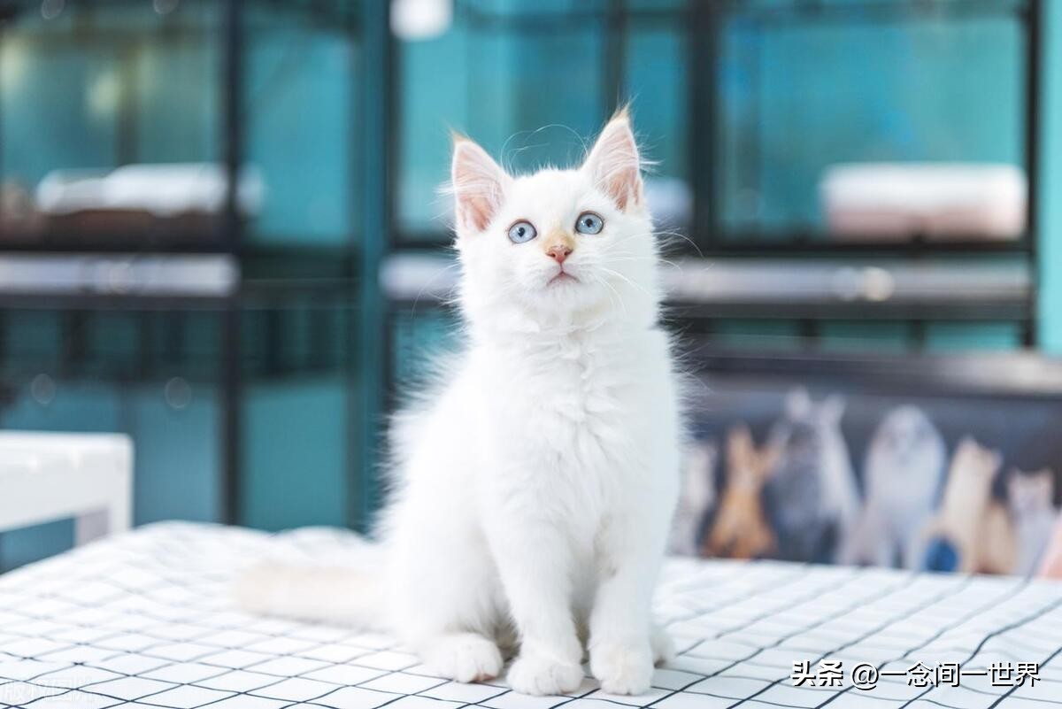 当你被排斥时，这样做才是大智慧