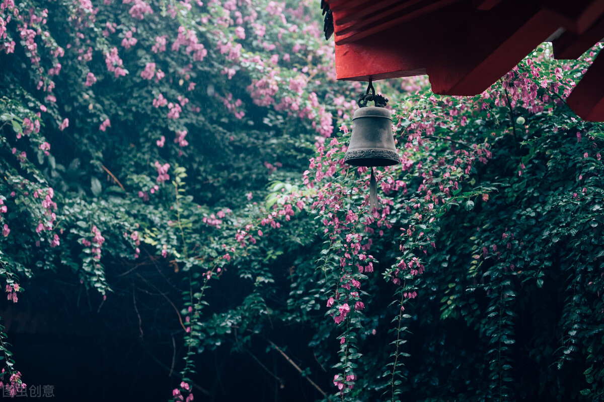 如何挖掘美育价值作文,以美育为话题的作文素材摘抄