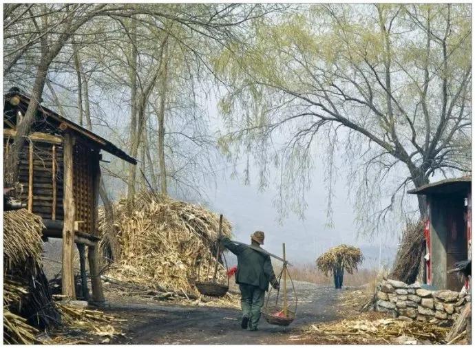 你理想中的乡村生活是这样的吗,你眼中的乡村生活是什么色彩的