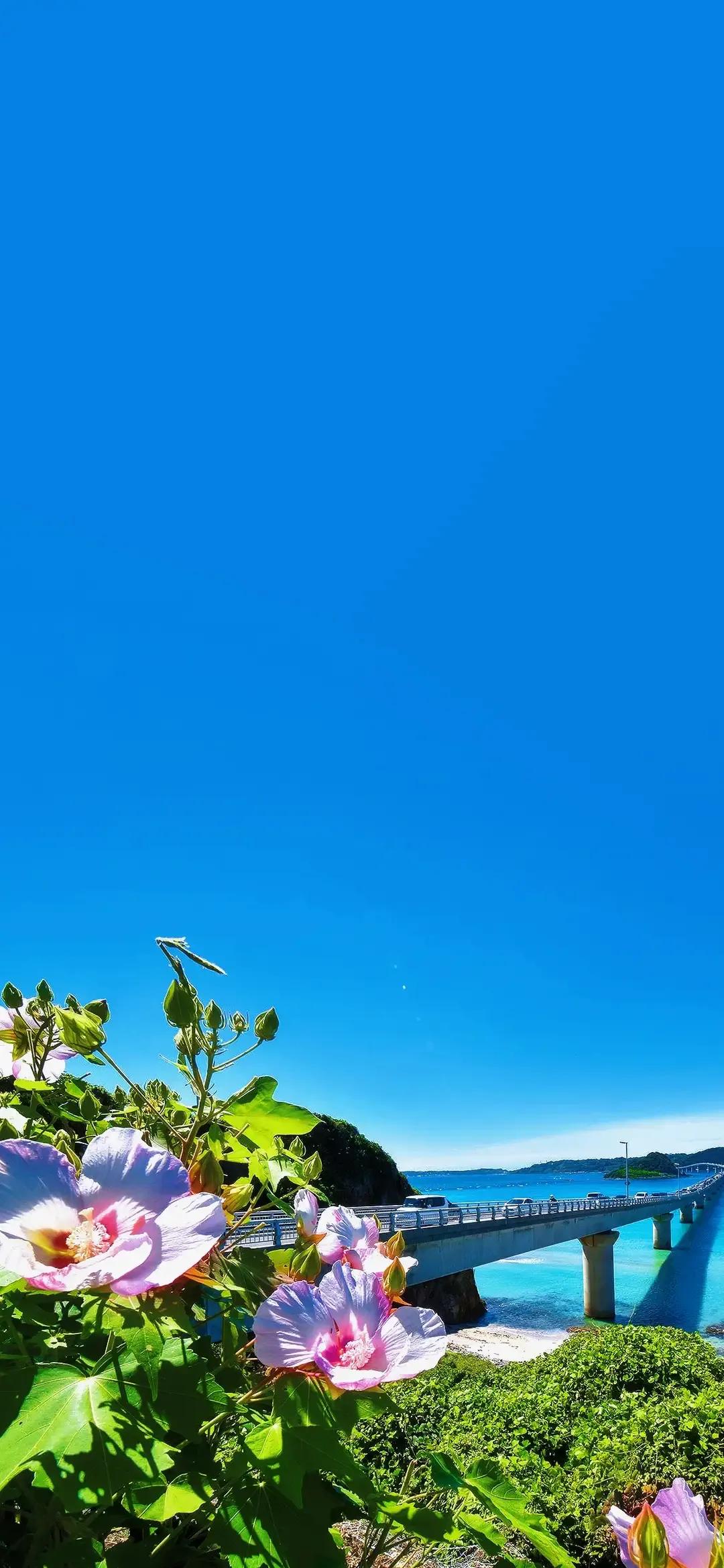 钃濆ぉ澶ф捣缇庢櫙楂樻竻妯睆瑙嗛,钃濆ぉ澶ф捣缇庢櫙鍥剧墖