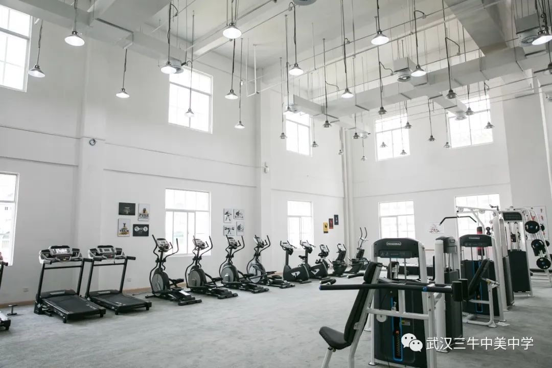 武汉三牛中美中学,武汉三牛中美中学排名及费用