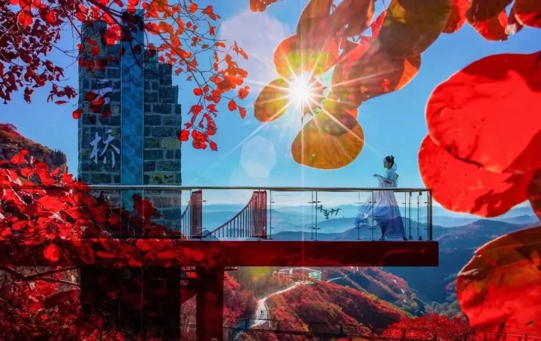 沂蒙乡村振兴学习感悟,乡村振兴看沂蒙专题