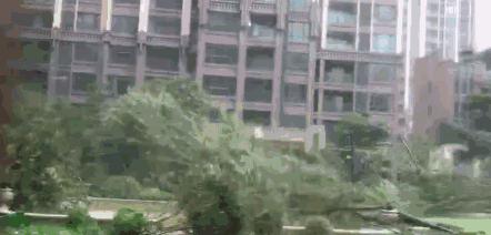 大海有多可怕视频,大海最危险的是什么