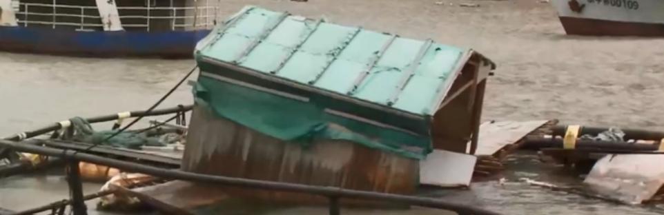 电子老板转行养鱼，建造防弹深海网箱，年销售额超5000万元