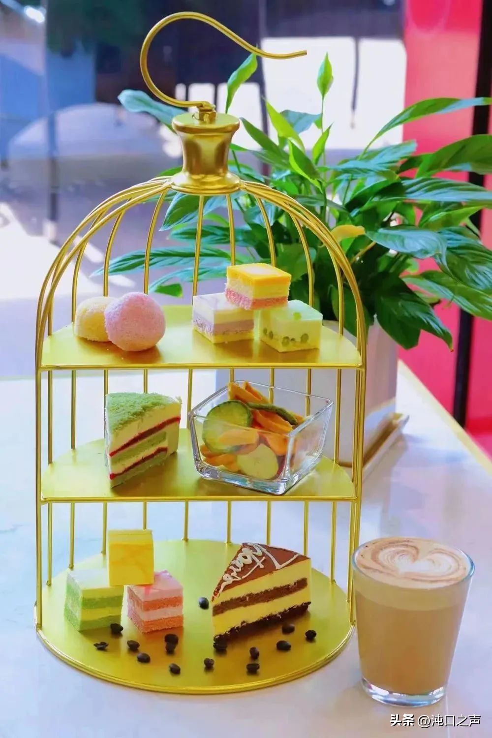 沌口体育中心将举办端午嘉年华,今天沌口体育中心有什么活动