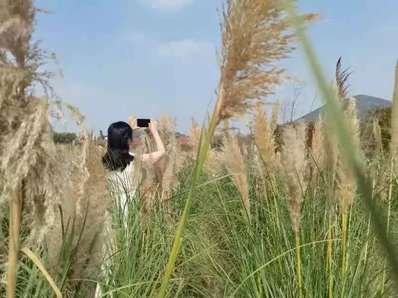 蚌埠禾泉山庄在哪里呀,蚌埠禾泉山庄爬涂山旅游攻略
