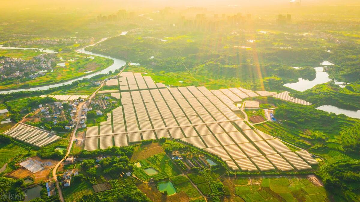 李昌平：乡村振兴关键靠发展产业？