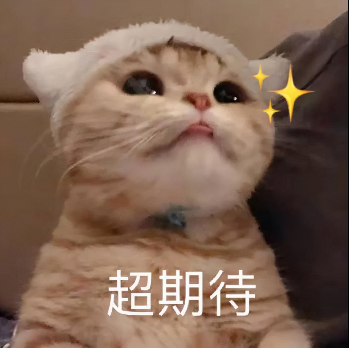 护肤的100个关键词,护肤创新名词