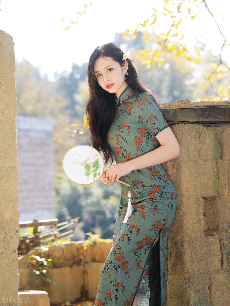 经典大气情节合理饱满的小说推荐,好看的异界小说书荒