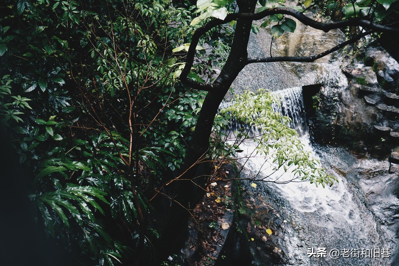 罗生门和黄粱梦,罗生门香港live