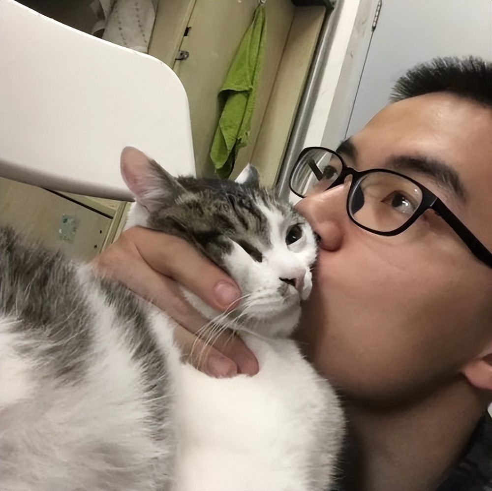 猫咪讨厌你的5个表现你中了几个,猫咪最讨厌的几种东西是什么呀