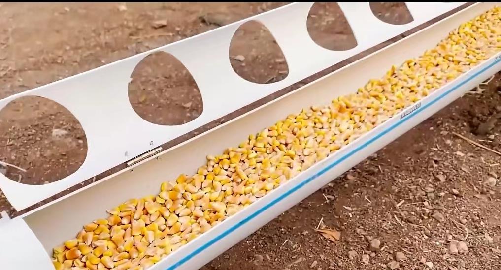 用pvc管自制养鸡饮水管,用ppc管自制养鸡饮水器