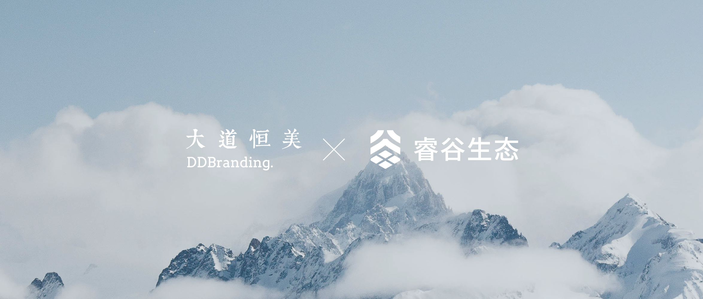 大道恒美×睿谷生态：大品牌战略，赋新生活方式营销