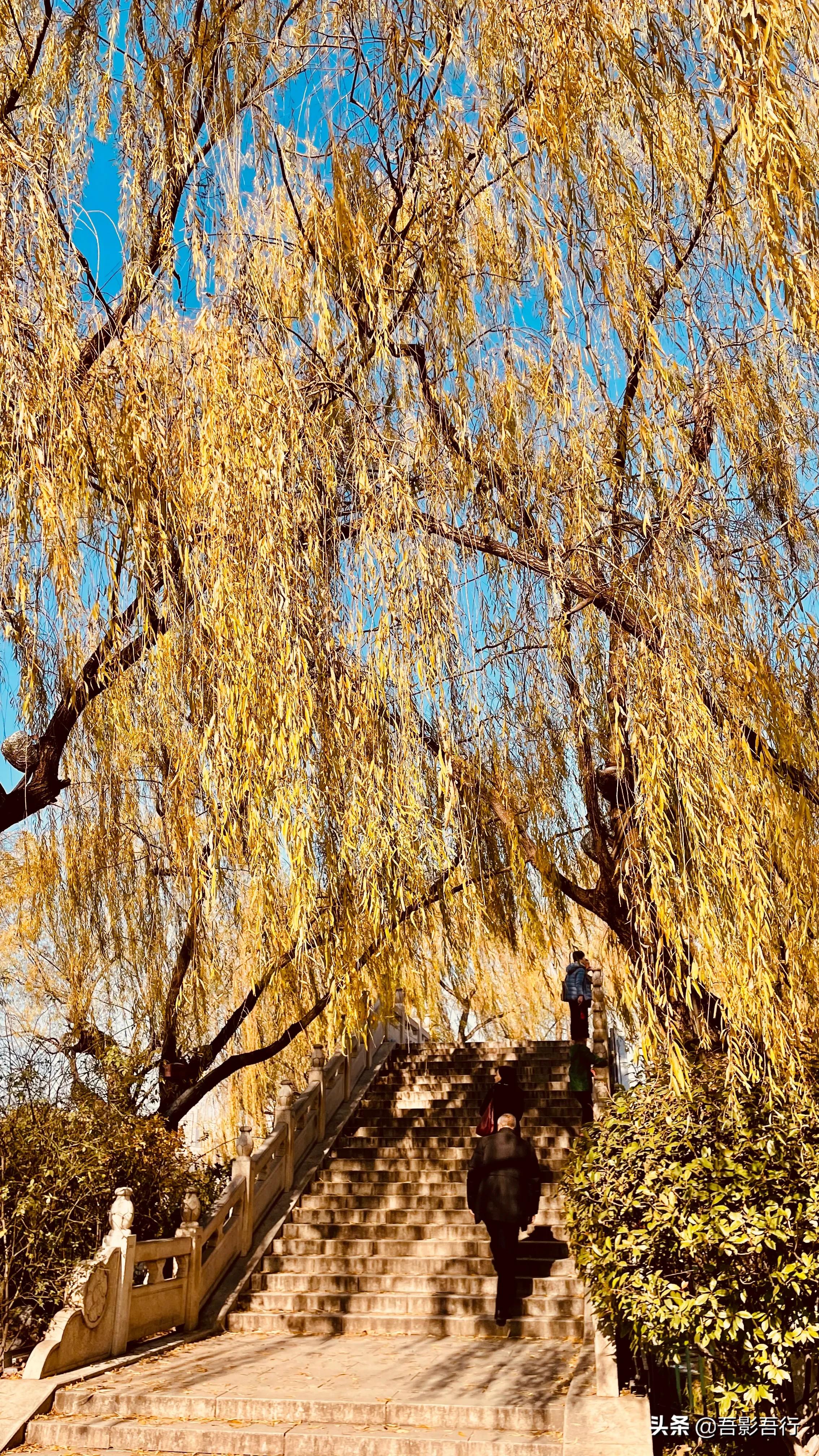 济南大明湖秋冬图片高清,初春大明湖美景图片