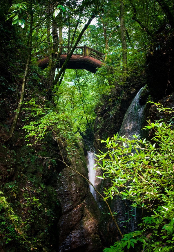 面对琐碎的生活依然热爱着生活,面对生活琐事要有最纯真的笑容