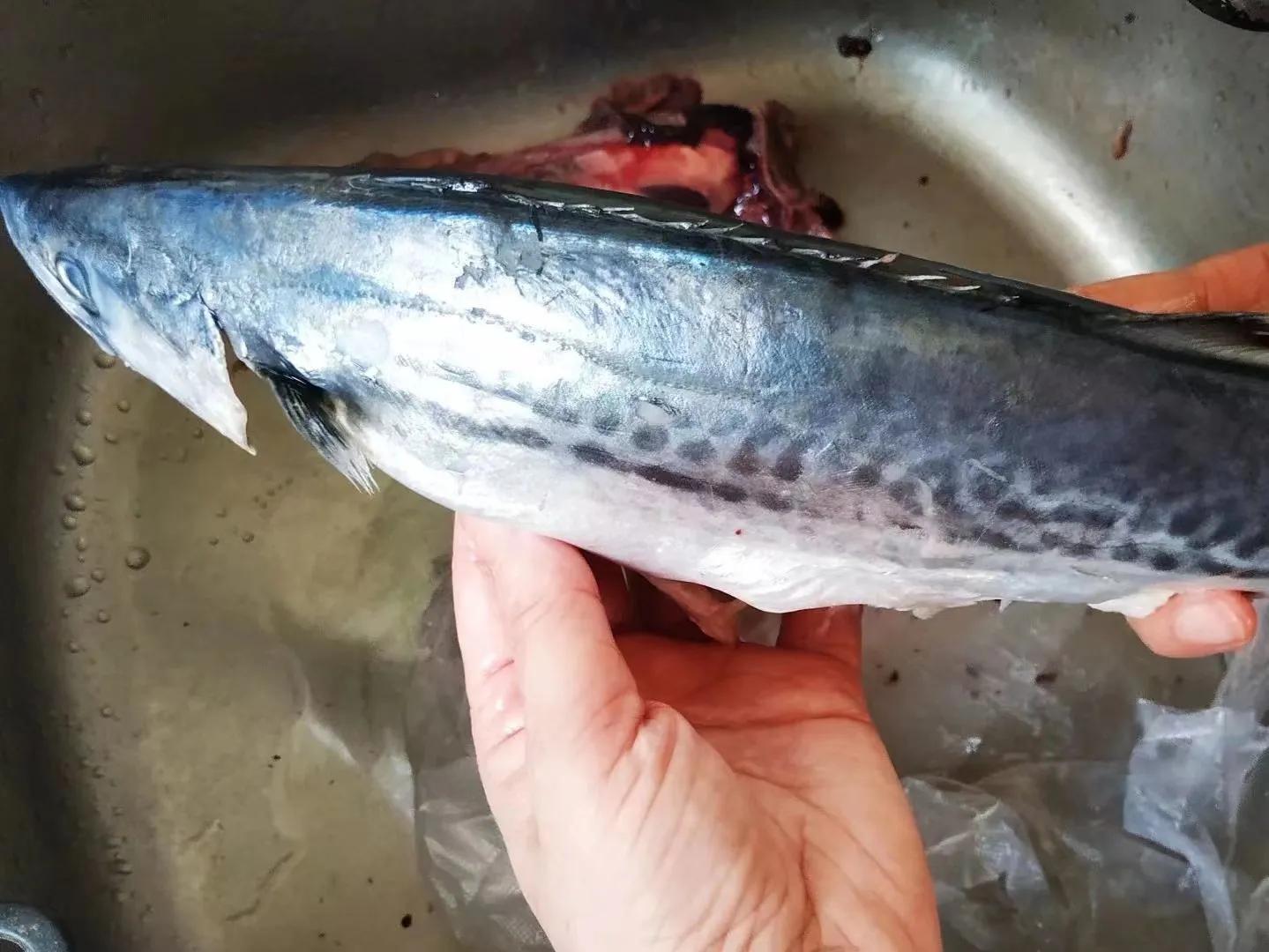 休渔期到来但这些海鲜仍可以选择,休渔期什么海鲜最好卖