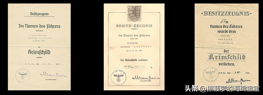 霍尔姆盾章二战德国,二战德国军奖章