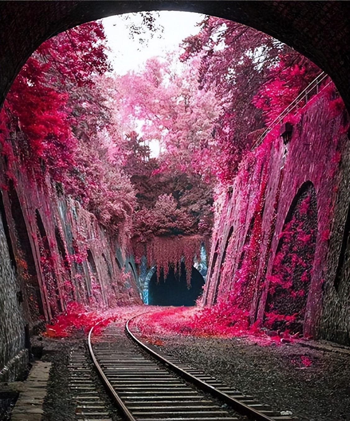 又到红叶观赏时刻,赏红叶十大绝佳去处