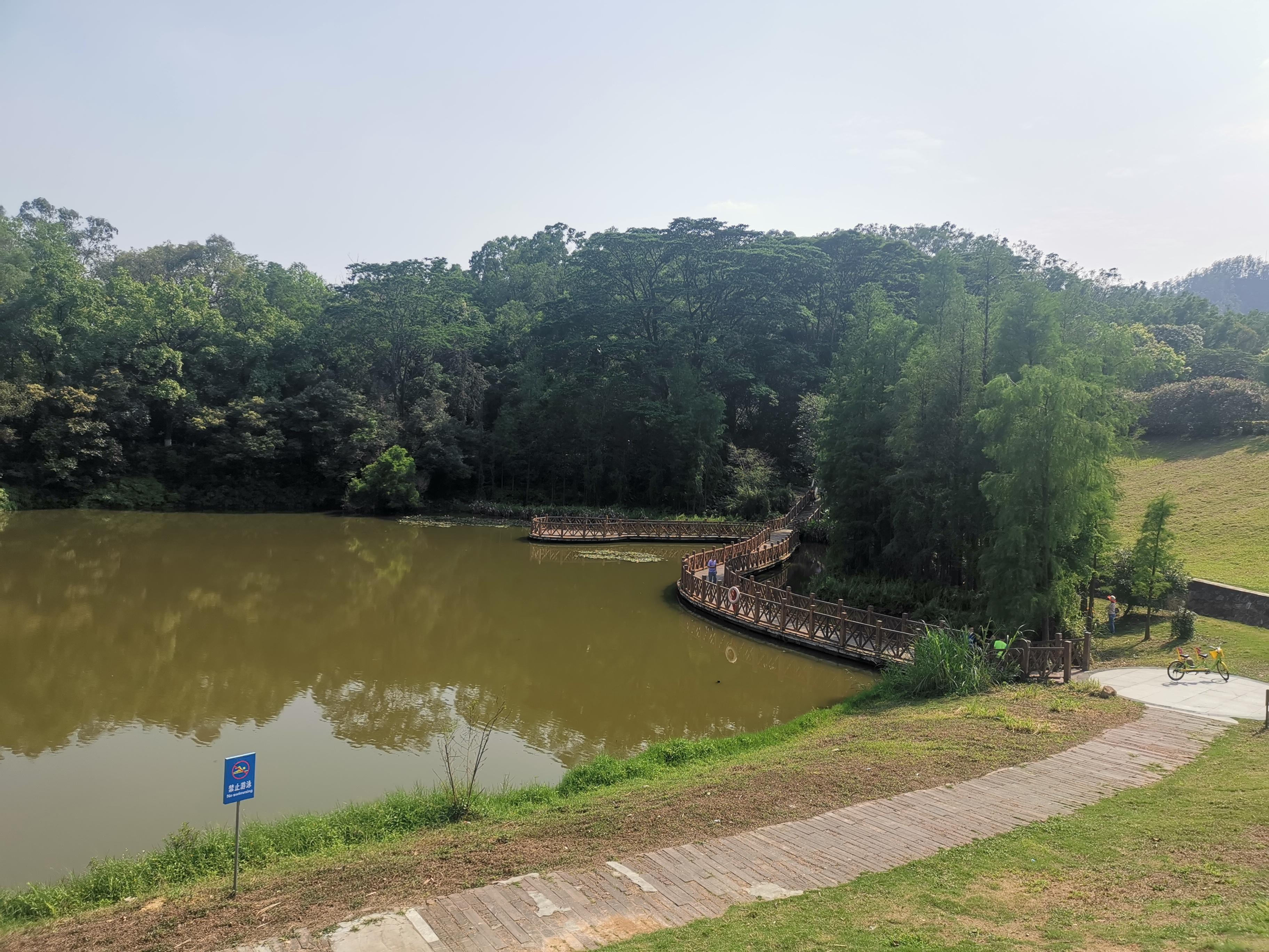 大夫山一日游自由行,大夫山一日游周记