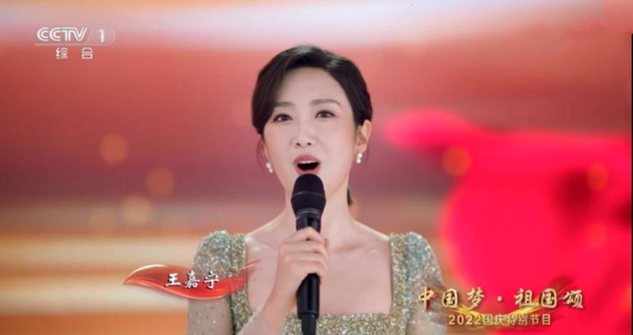 今日说法的主持人王嘉宁工资高吗,王嘉宁现在主持什么节目今日说法