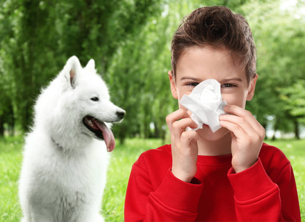 狗狗的感冒症状及治疗方法,狗狗拉肚子又感冒了怎么办