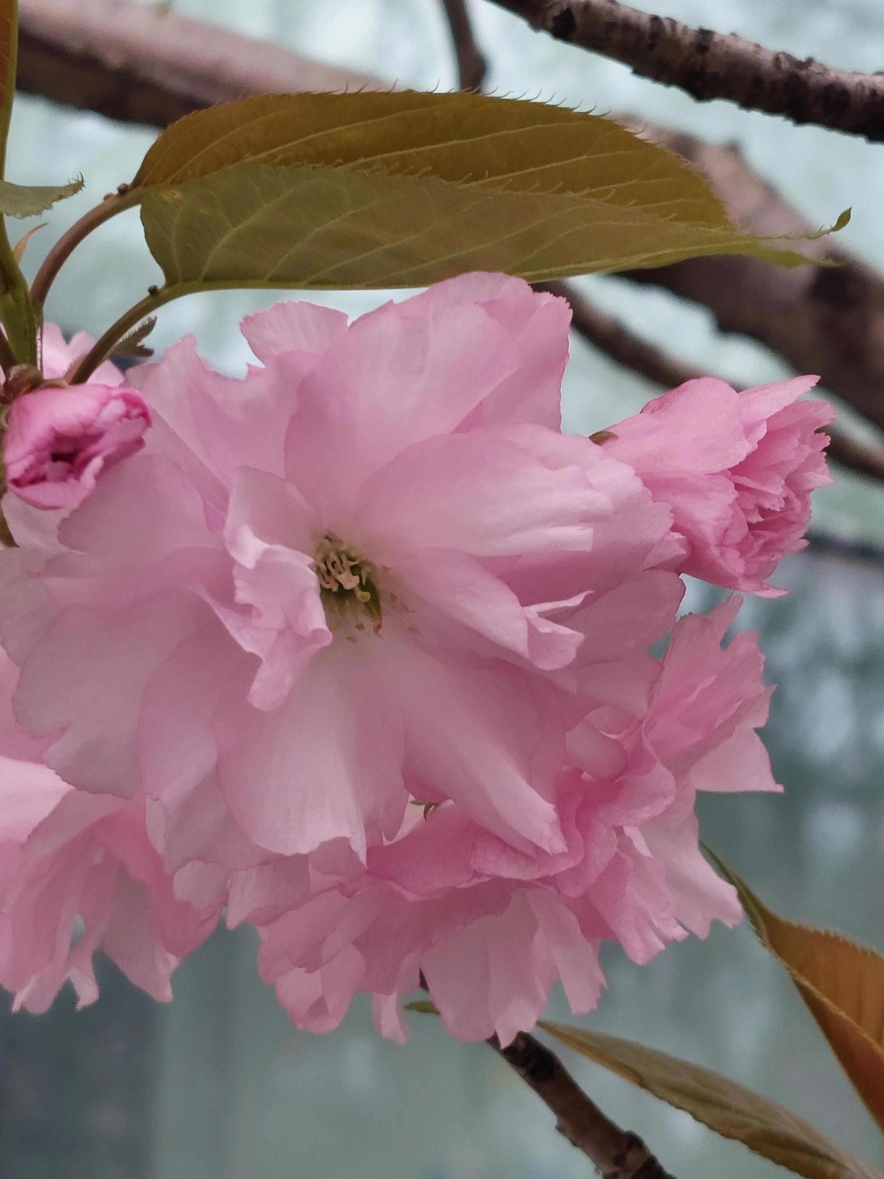 裁员后面试中问到离职原因,会计面试时被问到离职原因