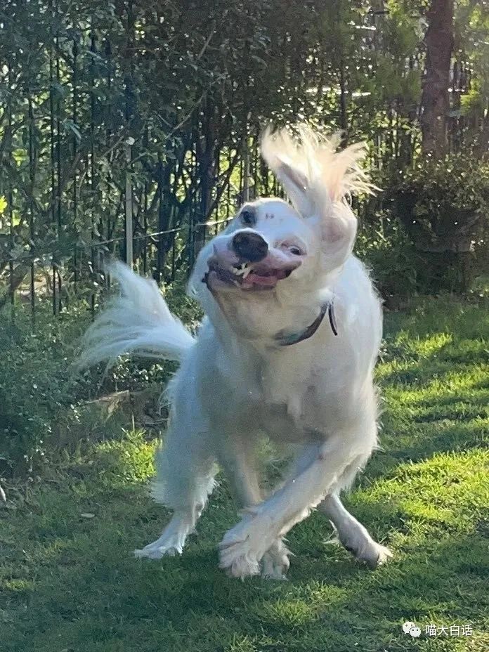 背德文学啥意思,背德文学是什么