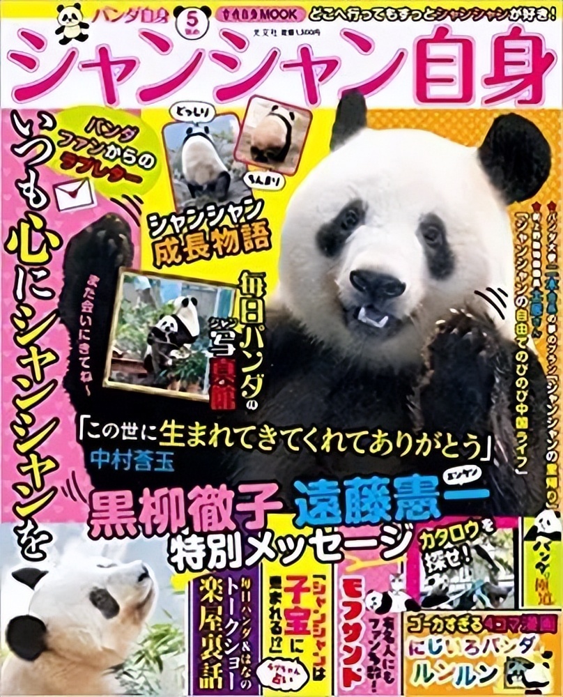 大熊猫香香回国香香出生,大熊猫香香回国后首次露面