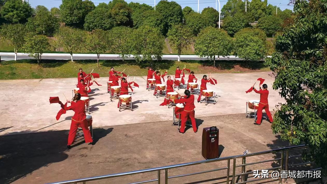 党建引领村湾治理,党建引领乡村治理示范镇