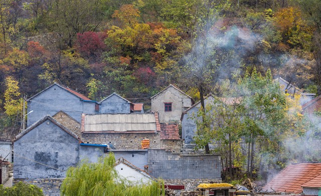 本村集体成员宅基地能自由流转吗,一户一宅不是本村户口可以确权吗