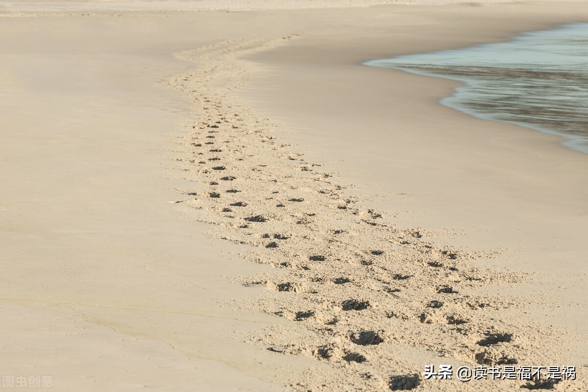 国学经典之《汉书》导读第二百七十二讲：志·五行志中一