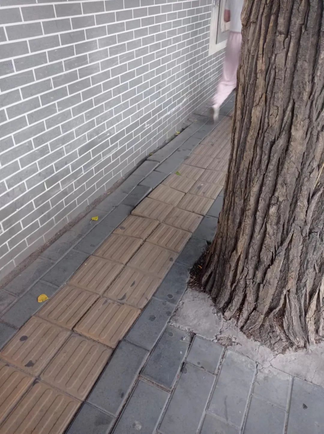 不锈钢盲道危害,不锈钢盲道怎样铺设