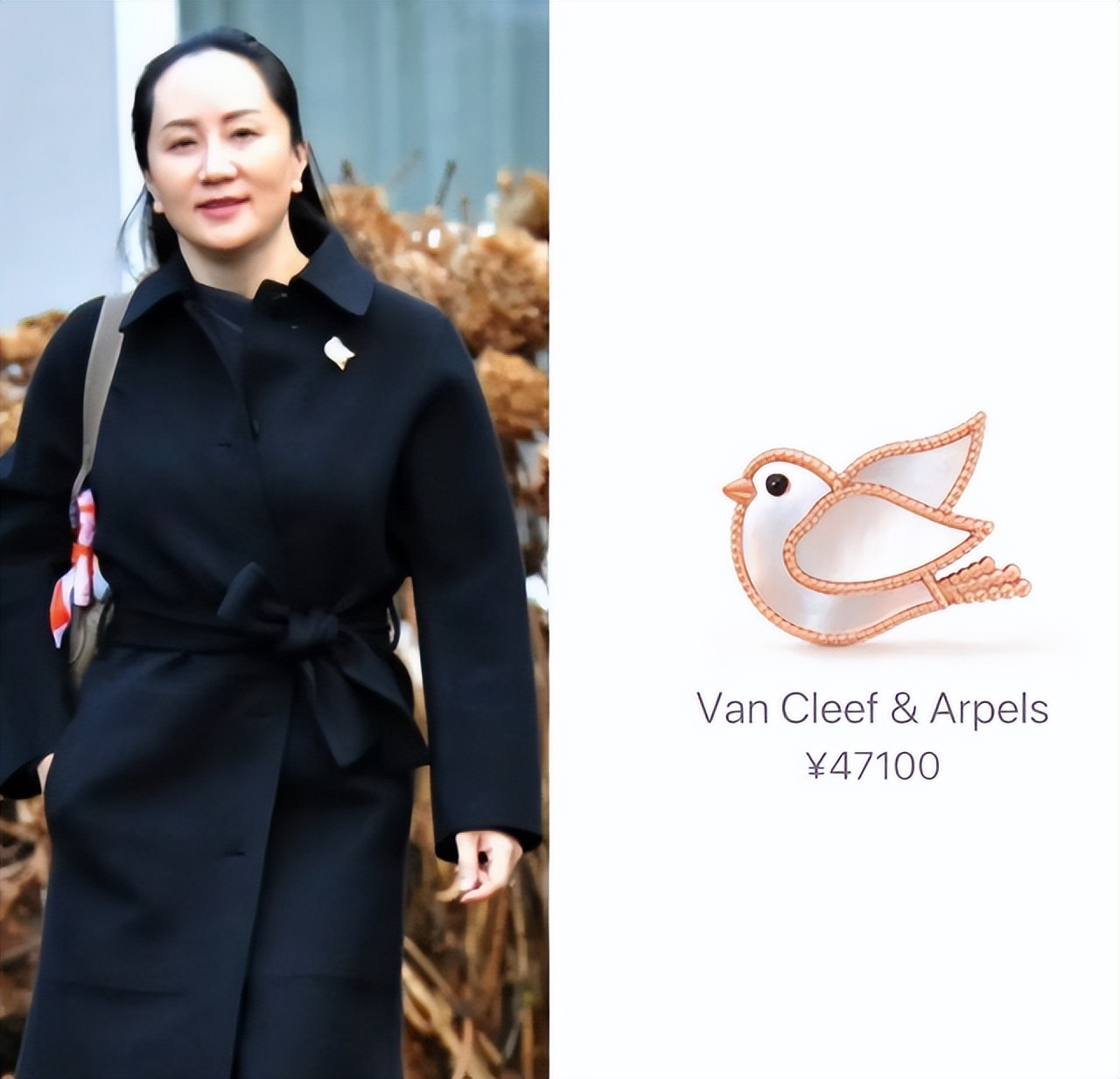 孟晚舟蝴蝶胸针价值,孟晚舟同款蝴蝶胸针有什么意义