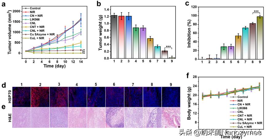 「转载」Angew.Chem.Int.Ed.|Cu单原子纳米酶用于光热疗法