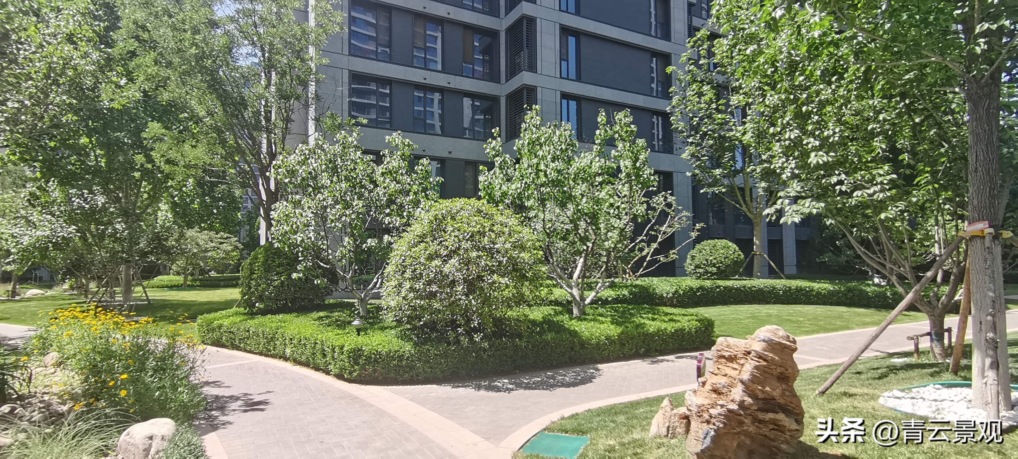 40岁园林工程师出路,园林设计专业的出路