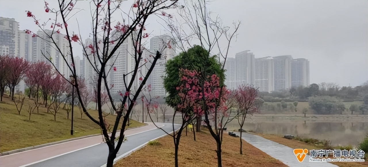 南宁天气预报未来15天回南天,2022南宁回南天什么时候结束