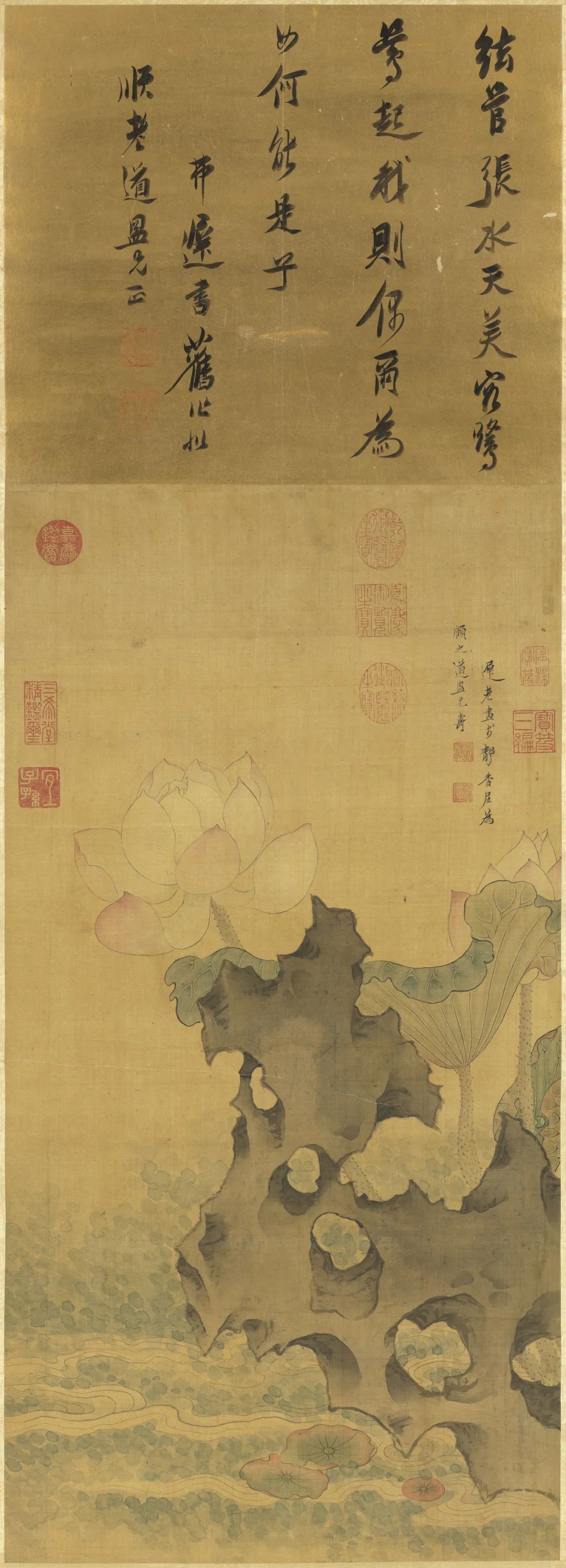 慕容看世界的视频,慕容看世界所有视频