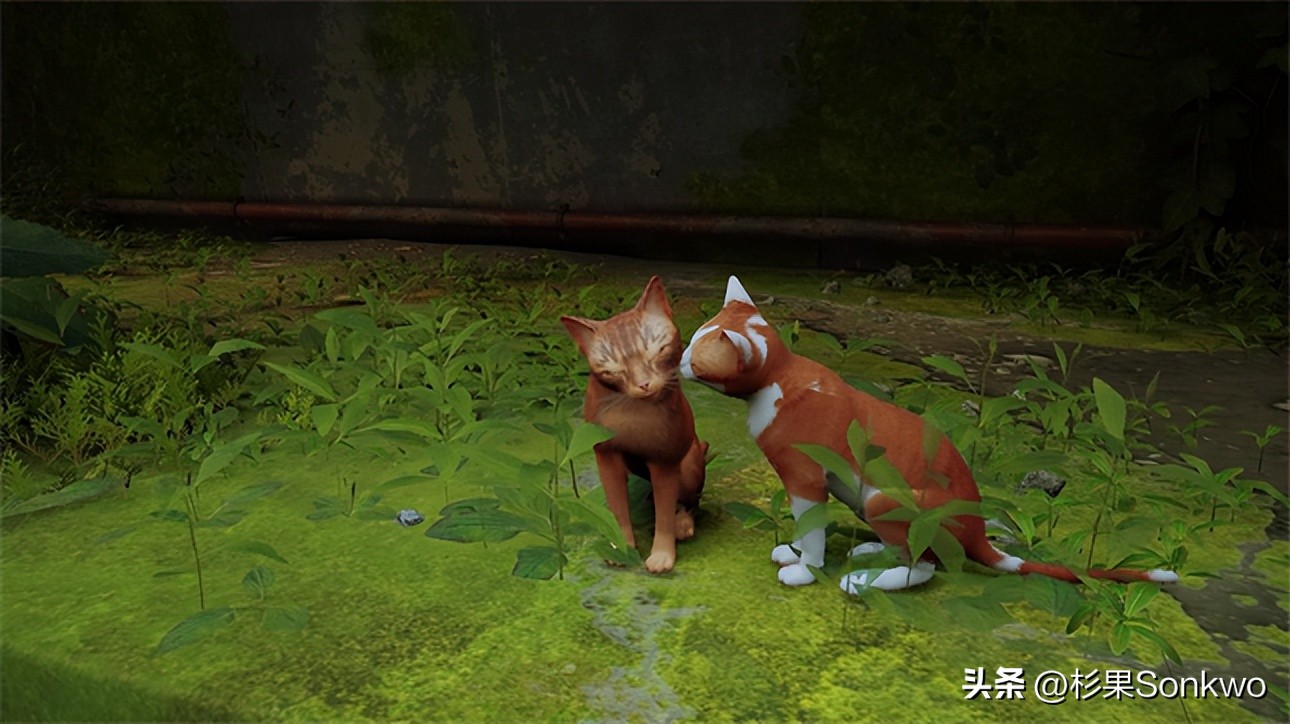 《迷失》评测：你想在赛博朋克世界做一只可爱猫猫吗？