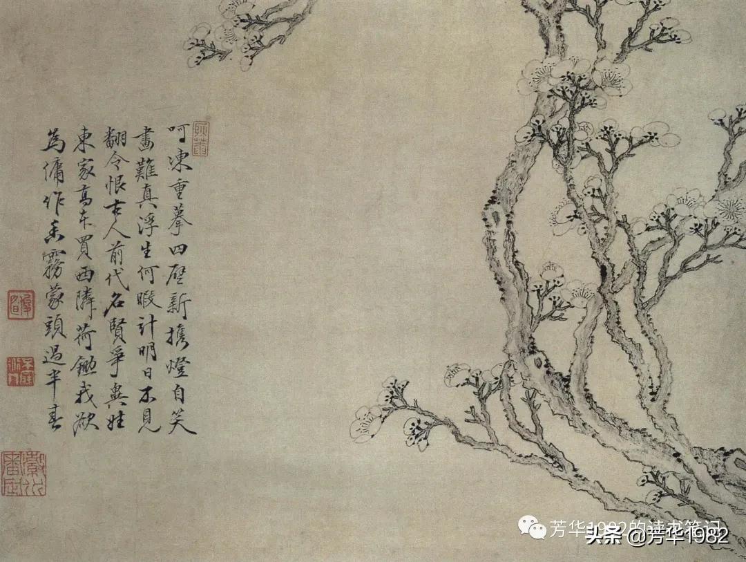 梅花图简介,历代名家梅花图