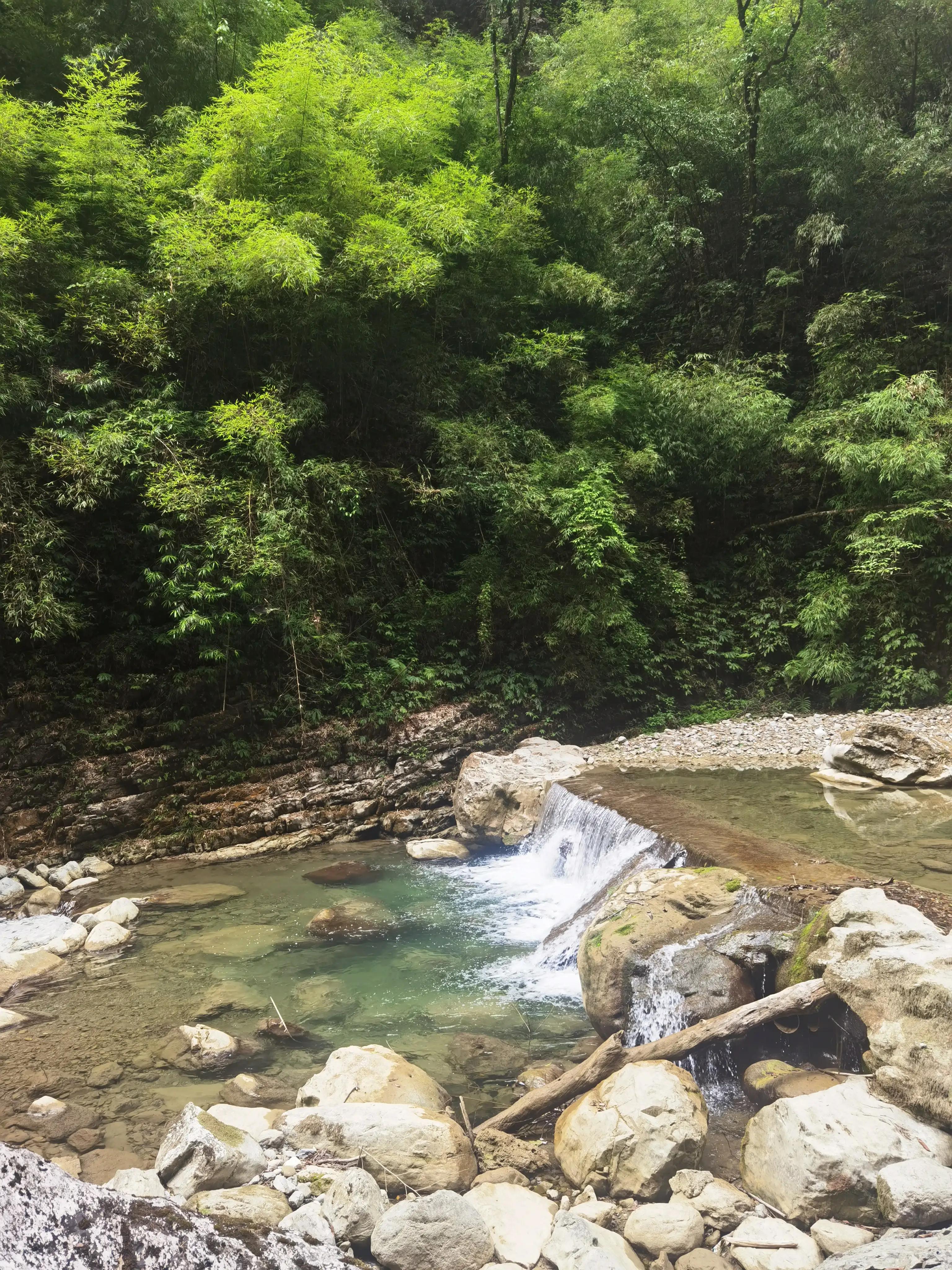 重庆到黑山谷的交通路线,重庆黑山谷旅游攻略美景图片