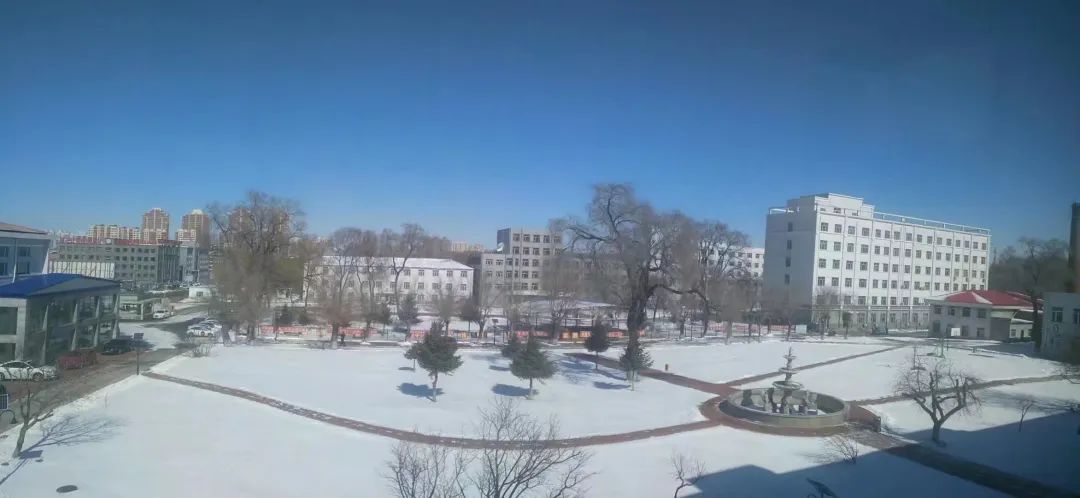 五线城市精神病院，一些问题的尽头