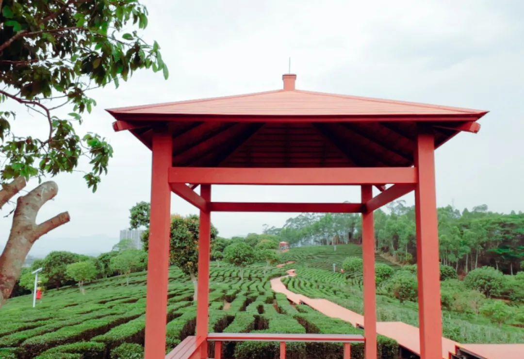 广东惠州旅游攻略3天自由行,惠州罗浮山2天一夜游