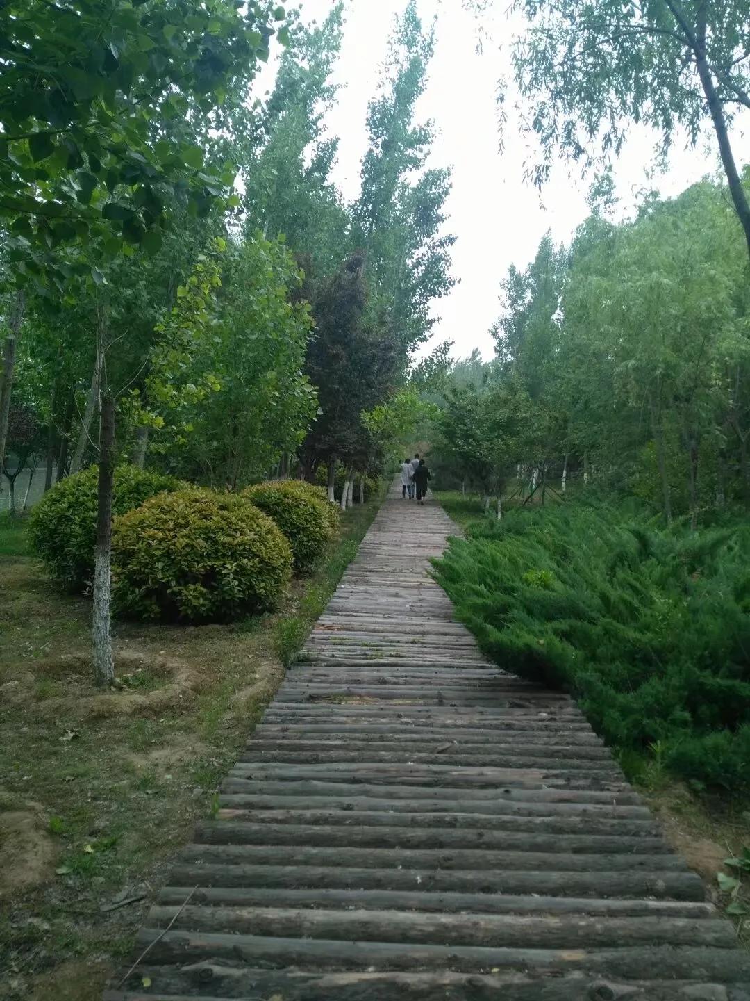 你对秦腔戏曲有什么新的认识,秦腔语言鉴赏札记