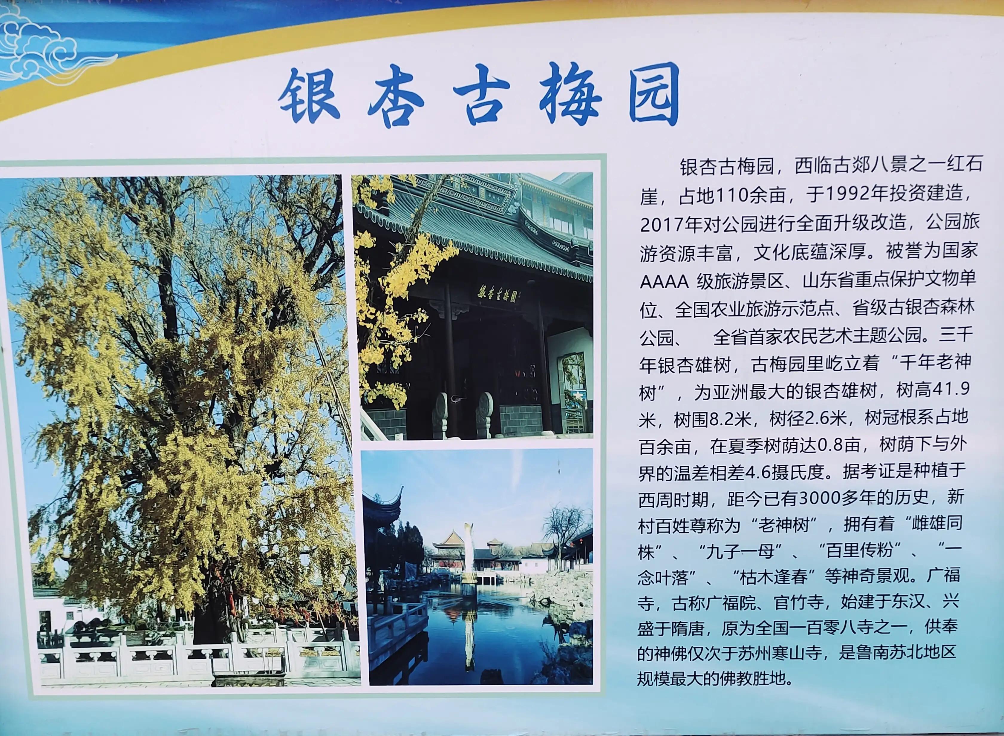 临沂郯城最美村庄,魅力之城临沂