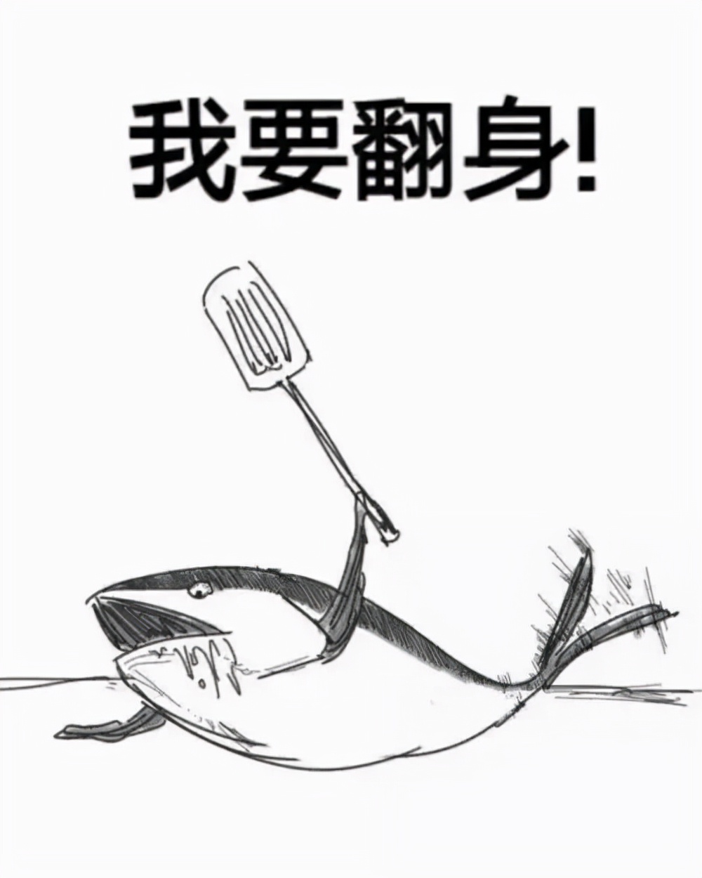 从27元跌到最低4.9元医药股,从29元多跌到2.9元的股票