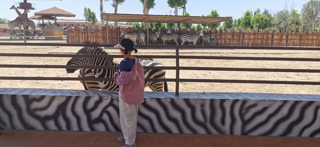 欧乐堡海洋极地公园攻略,欧乐堡最全游玩攻略请收好